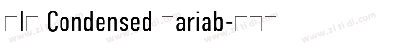 DIN Condensed Variab字体转换